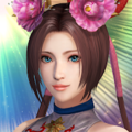 真三國無双