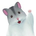 ハムスターの里(ハム里)